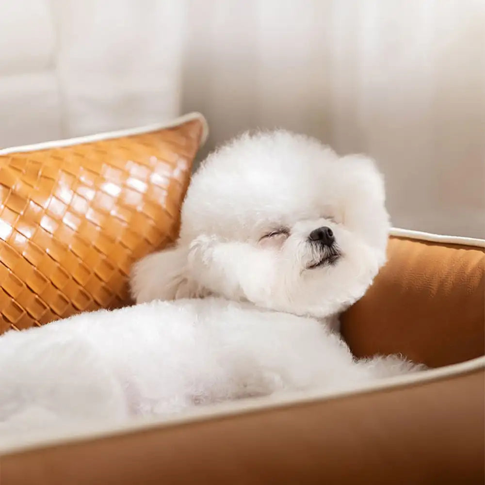 Kunstleder wasserdicht Latexschild Rücken Hundesofa Bett