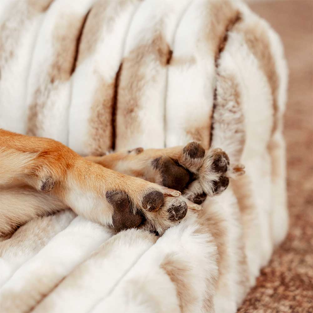 Fluffy Gestreiftes Orthopädisches Hundebett - Luxus Komfort