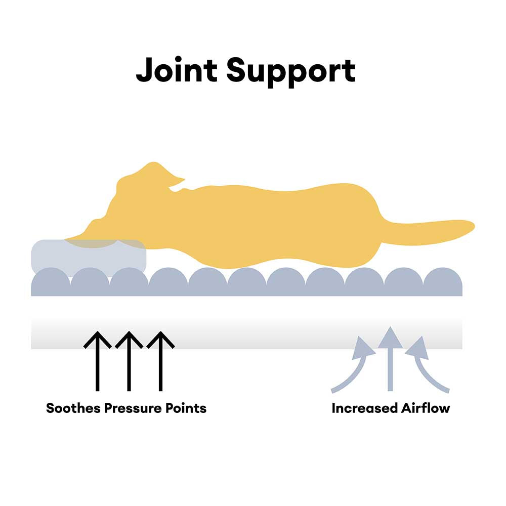 Fluffy Gestreiftes Orthopädisches Hundebett - Luxus Komfort