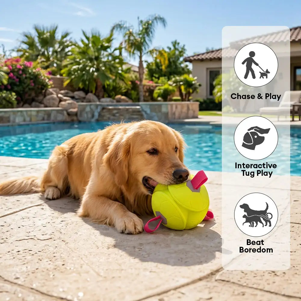 Fußball-Schwimmspielzeug für Hunde mit Riemen