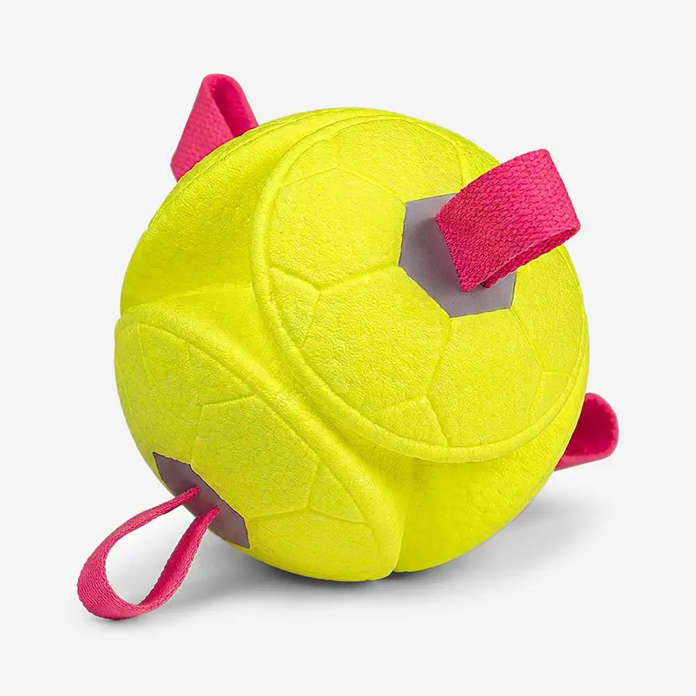 Fußball-Schwimmspielzeug für Hunde mit Riemen