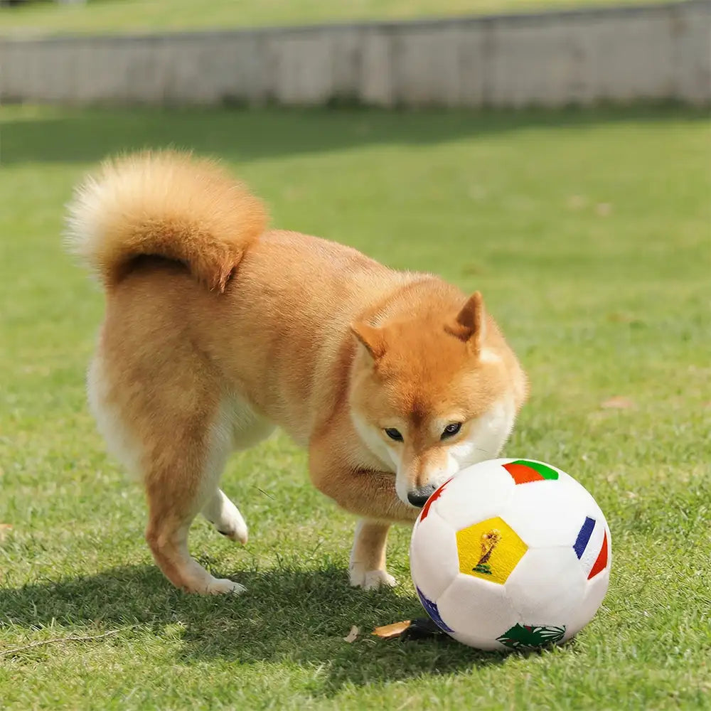 Fußball Plüschkissen
