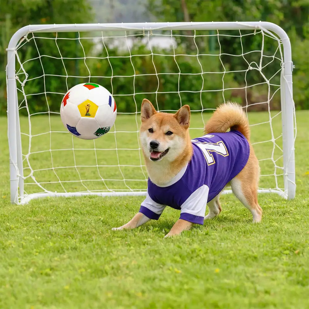 Fußball Plüschkissen