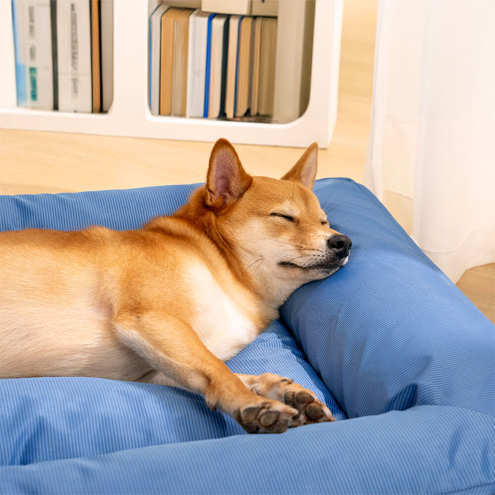 Vollständig orthopädische Umgebungsunterstützung wasserdichtes großes Hundebett für die Hundebox