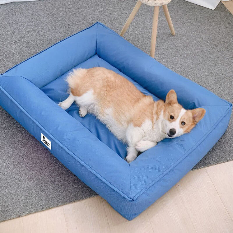 Vollständig Orthopädisches Wasserabweisendes Hundebett mit Rundum-Unterstützung für Große Hunde
