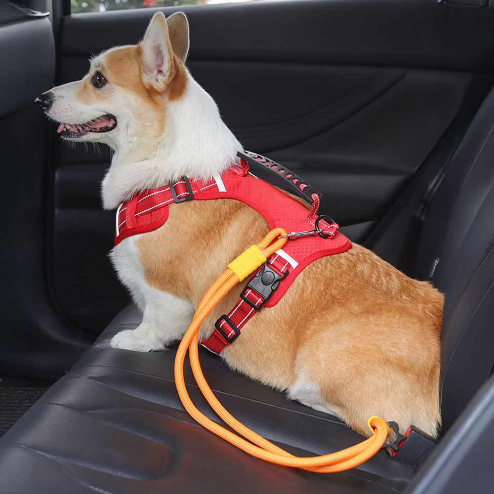 Anti-Zieh Nylon Hund Autositz Sicherheitsgurt