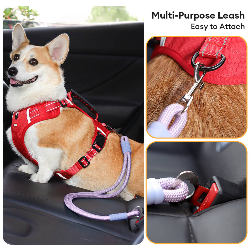 Anti-Zieh Nylon Hund Autositz Sicherheitsgurt