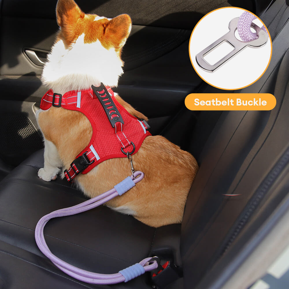 Anti-Zieh Nylon Hund Autositz Sicherheitsgurt