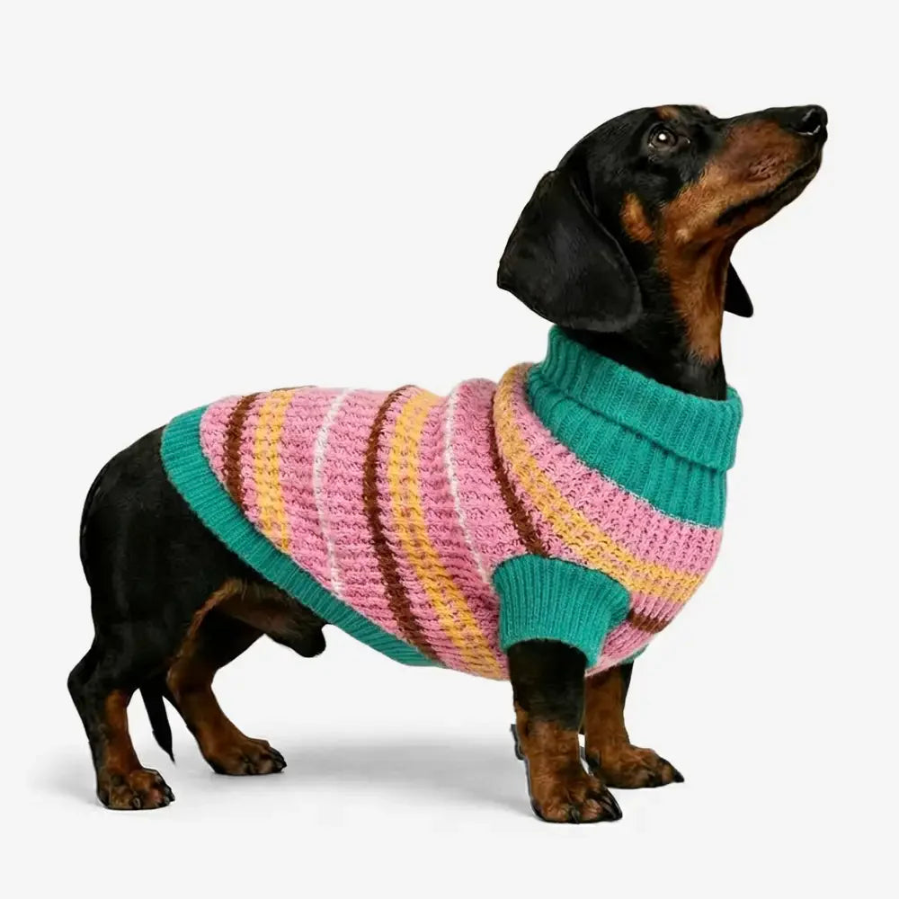 Farbblockierte gestreifte Dackel Hundepullover