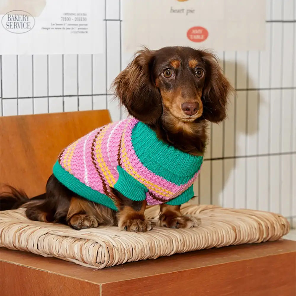 Farbblockierte gestreifte Dackel Hundepullover
