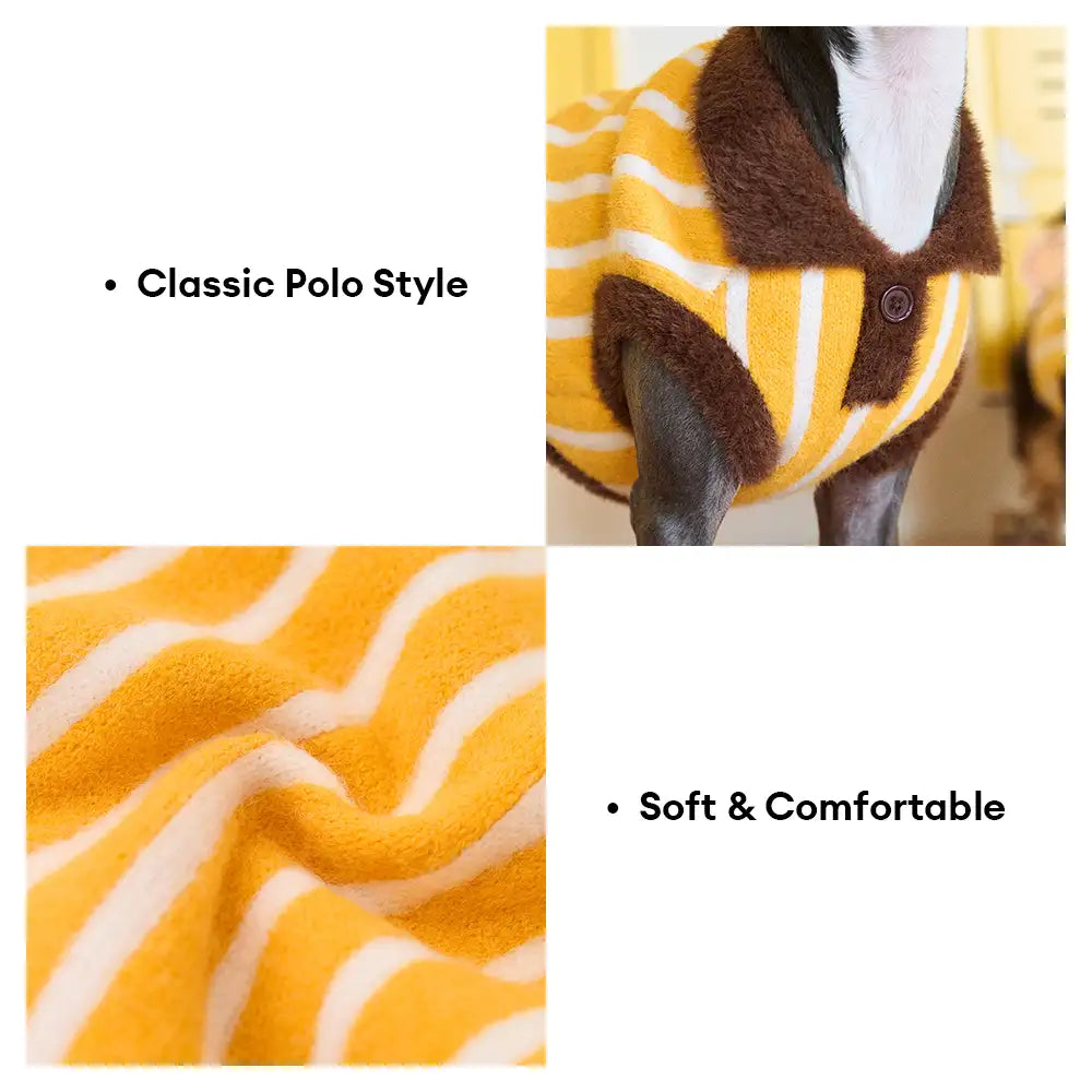 Farbblockiertes gestreiftes Dackel-Polo-Kragen-Hundepullover