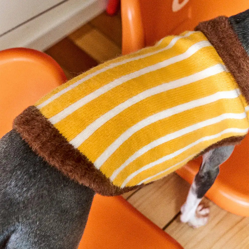 Farbblockiertes gestreiftes Dackel-Polo-Kragen-Hundepullover