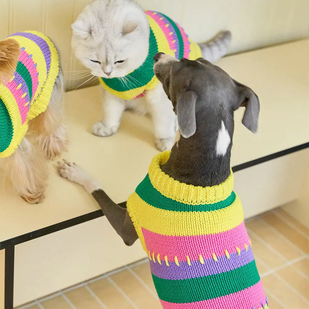 Farbblockierte gestreifte Dackel ärmelloser Hundepullover