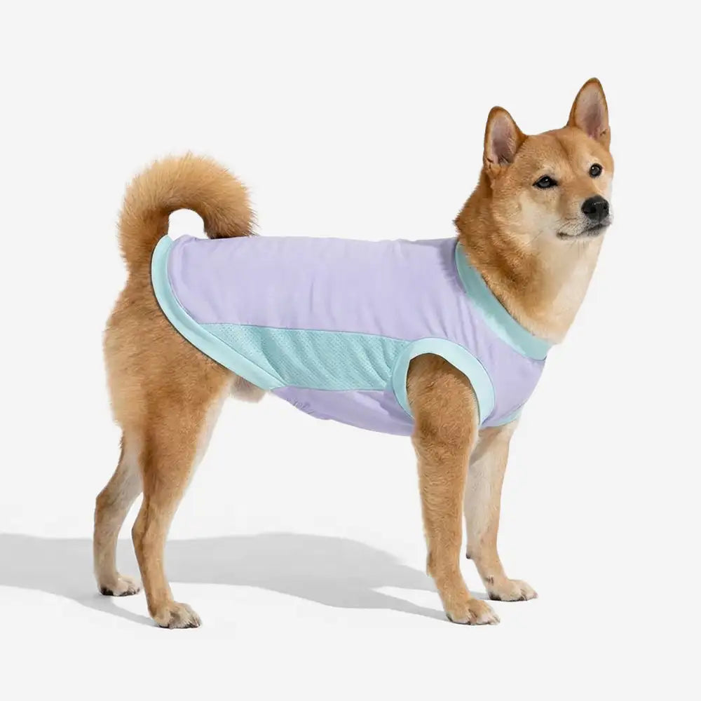 Kühlendes Eissilken-Sonnenschutz-Hundeweste