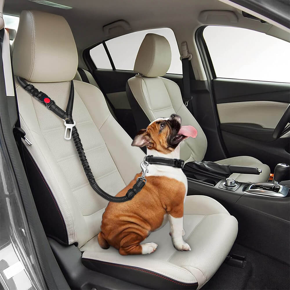 Hund Autositzgurt für Fahrzeugsitzkopfstütze