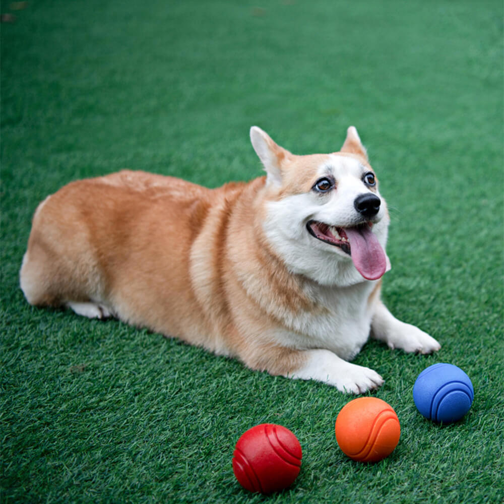 Elastisches Quietschballspielzeug Schwimmender Wasserball Kauspielzeug für Hunde