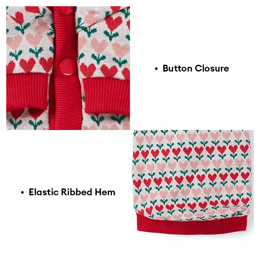 Fair Isle Herzmuster Dachshund Cardigan Hundesweater