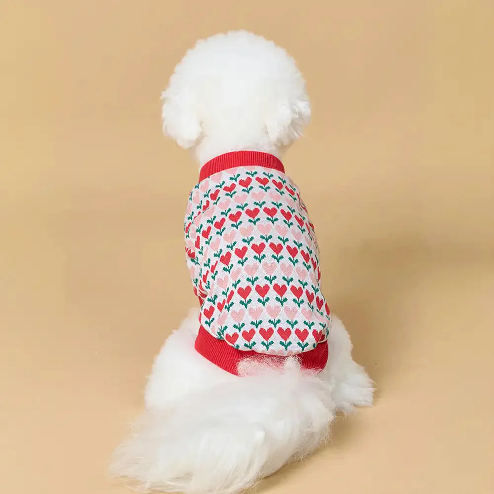 Fair Isle Herzmuster Dachshund Cardigan Hundesweater