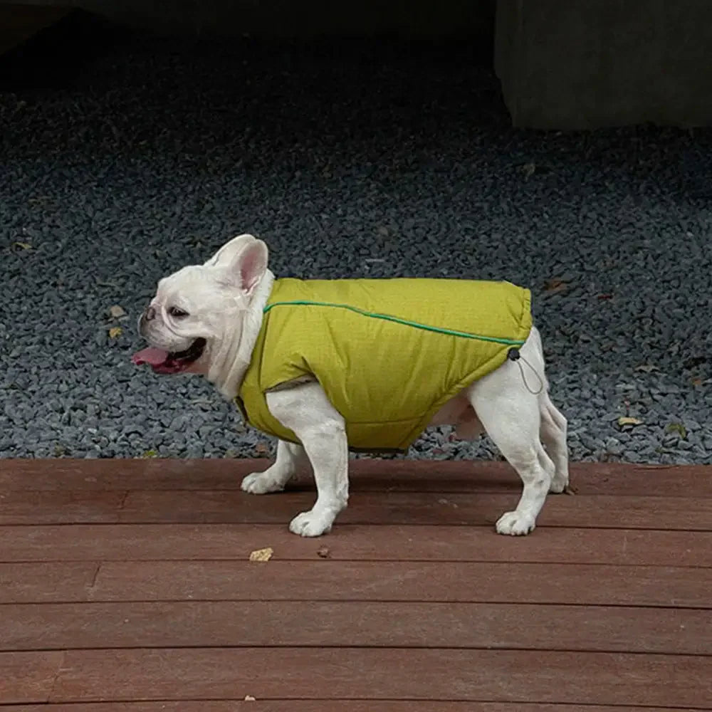 Modische wendbare gepolsterte dicke warme Hundejacke