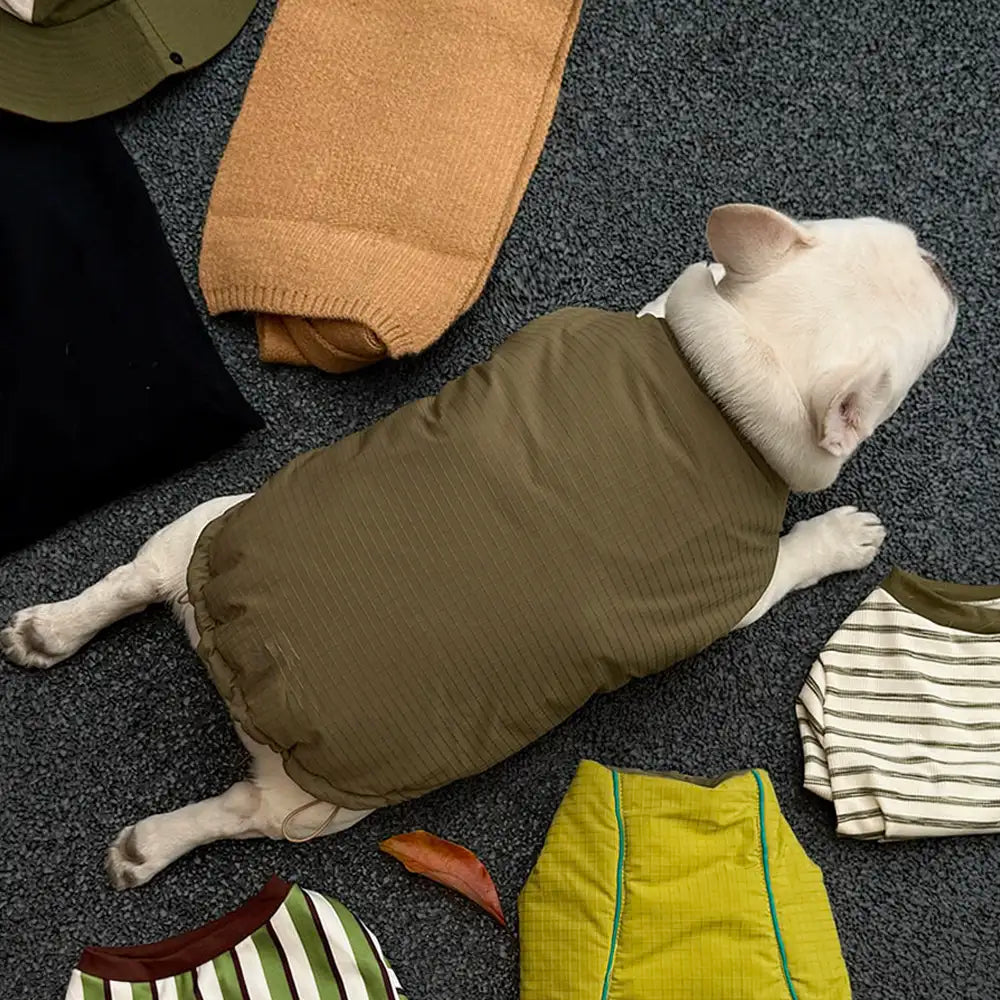 Modische wendbare gepolsterte dicke warme Hundejacke