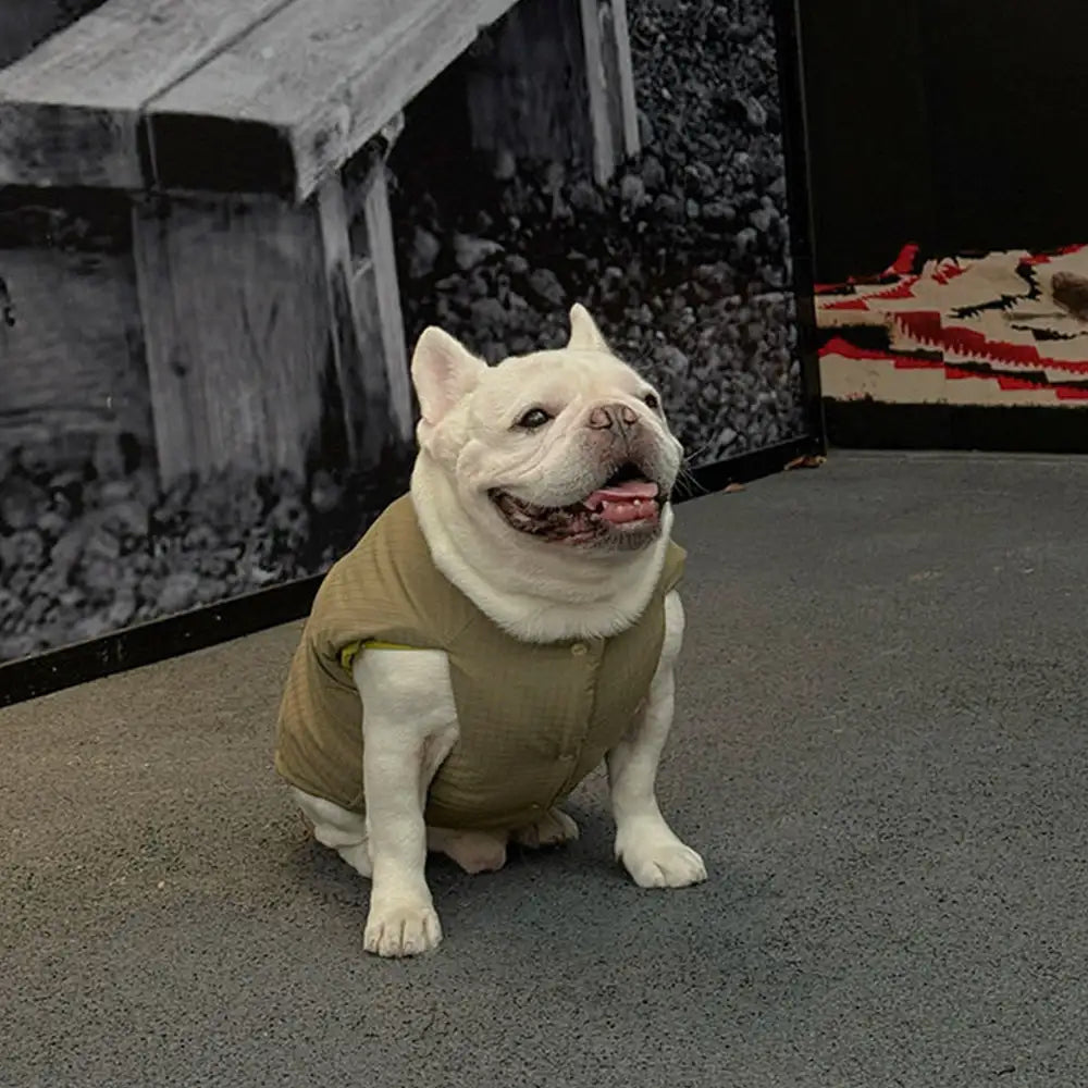 Modische wendbare gepolsterte dicke warme Hundejacke