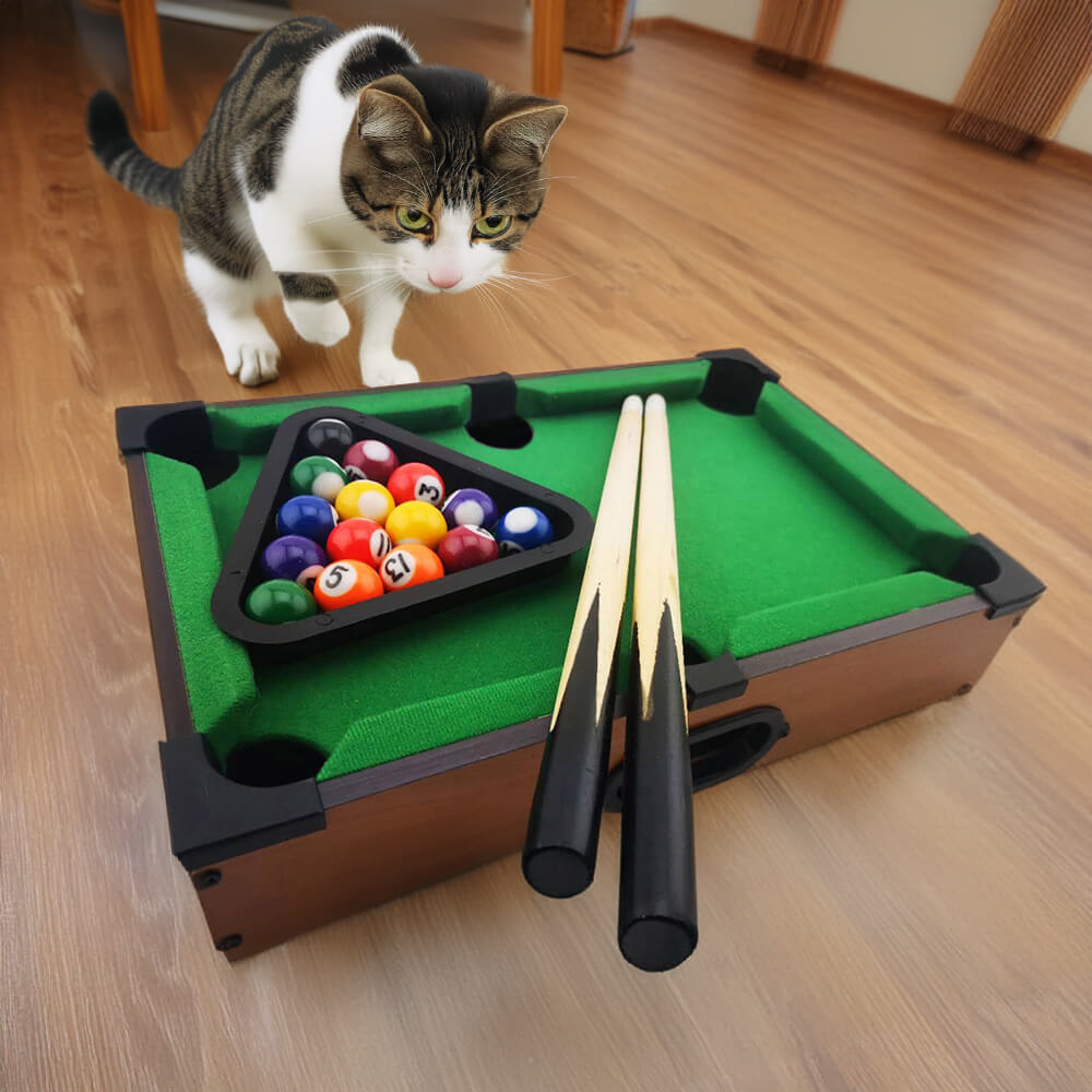 Lustiges Interaktives Spielzeug-Tisch-Billardspiel