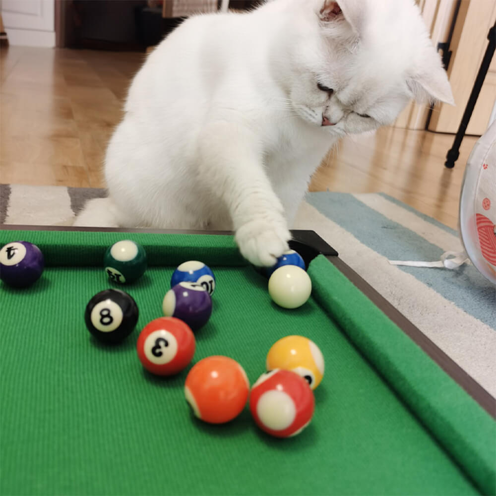 Lustiges Interaktives Spielzeug-Tisch-Billardspiel