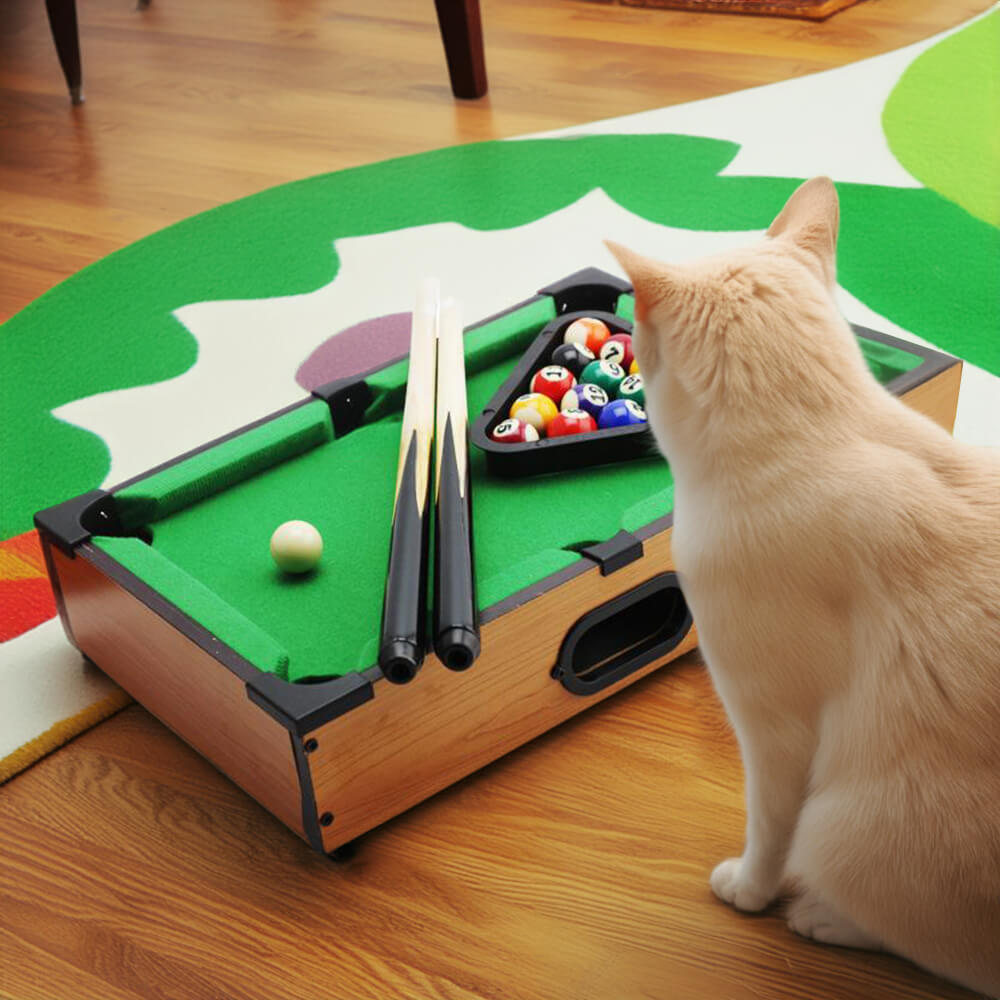 Lustiges Interaktives Spielzeug-Tisch-Billardspiel