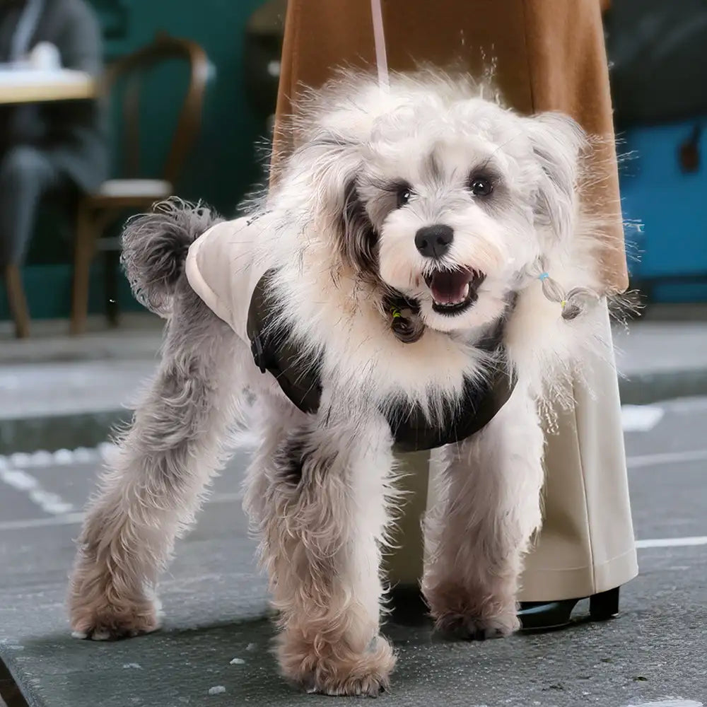 Fellbesatz Kapuzen-Warmhundemantel mit Leinenverschluss