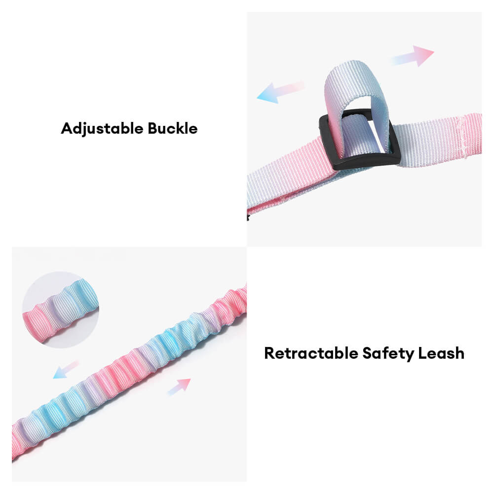 Gradient elastischer stoßdämpfender Haustier-Sicherheitsgurt für Autos