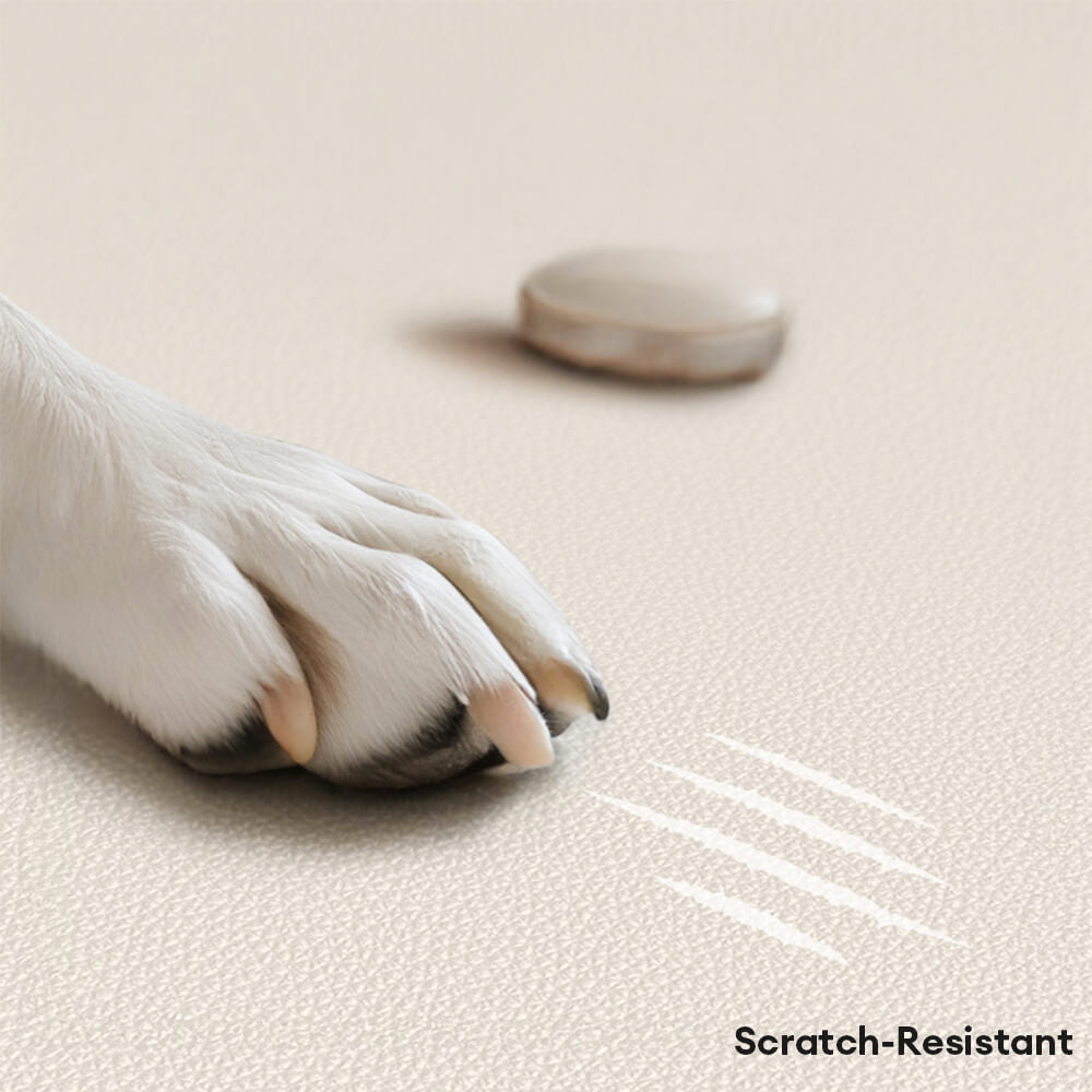 Luxuriöses Stützendes Kratzfestes Schlafsofa für Hunde und Katzen aus Naturlatex