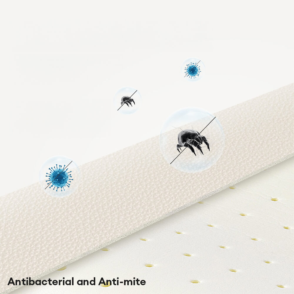 Luxuriöses Stützendes Kratzfestes Schlafsofa für Hunde und Katzen aus Naturlatex