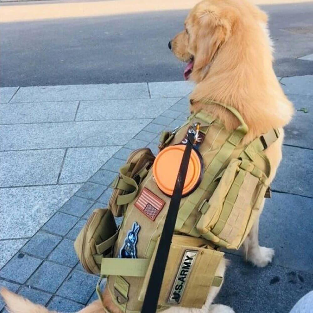 Militärstil Taktische Hundeweste mit verstellbaren Gurten
