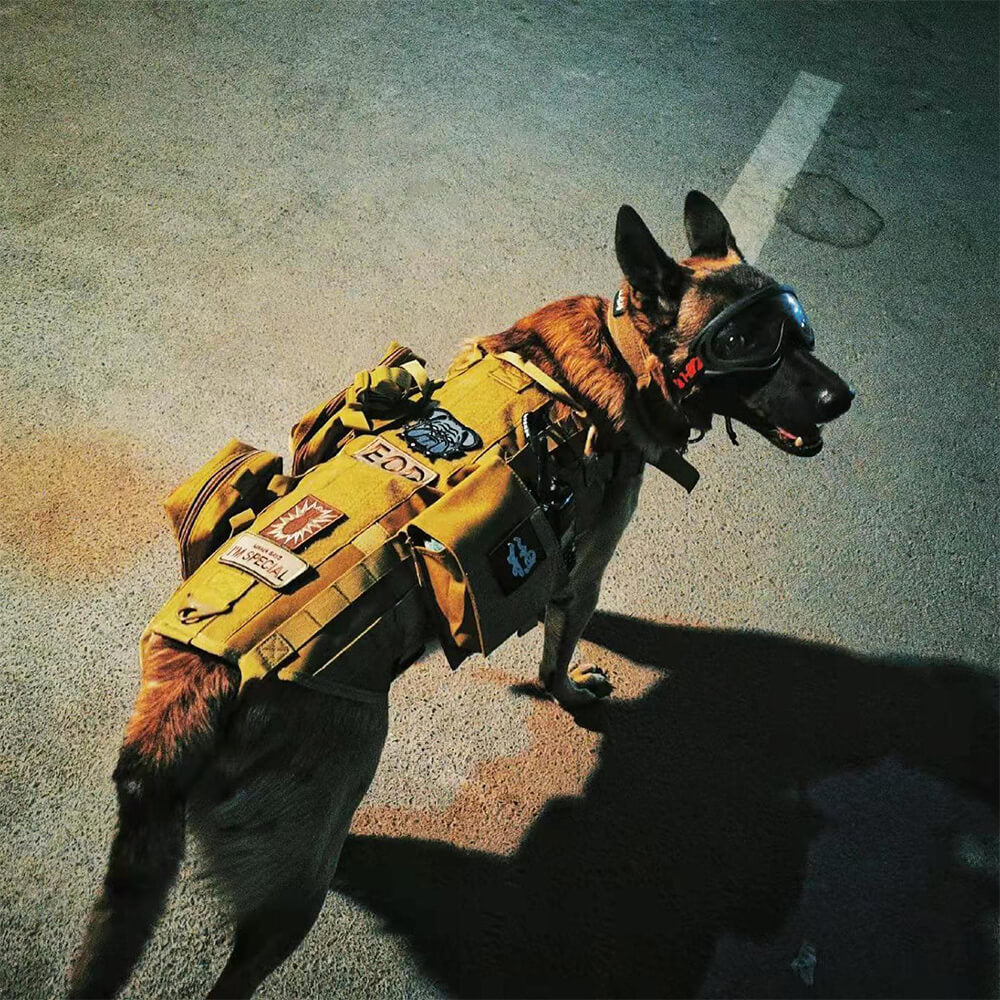 Militärstil Taktische Hundeweste mit verstellbaren Gurten