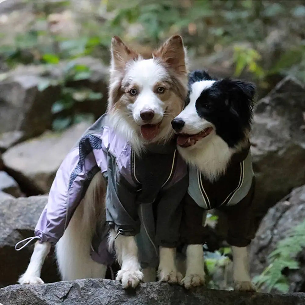 Mehrzweck-Wasserdichter Winddichter Hundewindbreaker-Mantel für mittelgroße und große Hunde