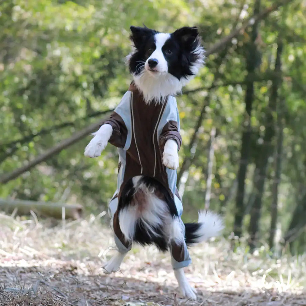 Mehrzweck-Wasserdichter Winddichter Hundewindbreaker-Mantel für mittelgroße und große Hunde