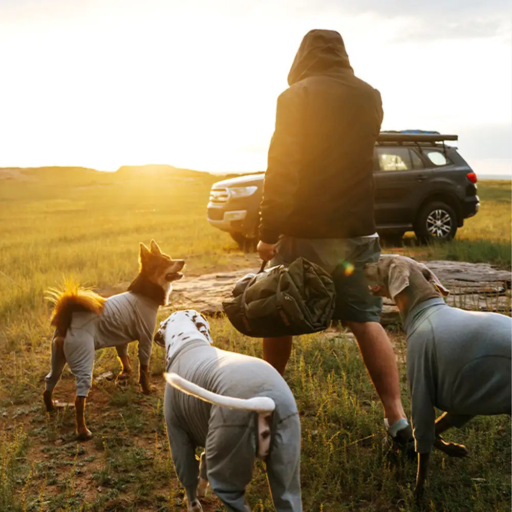 Außen-Campingplatz Feuchtigkeitsbeständiges und wasserdichtes tragbares Hundebett
