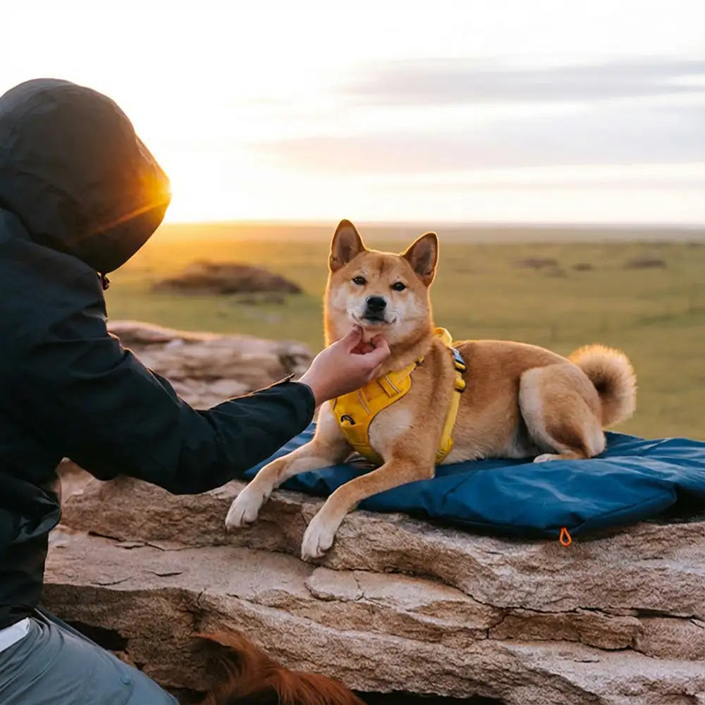 Außen-Campingplatz Feuchtigkeitsbeständiges und wasserdichtes tragbares Hundebett