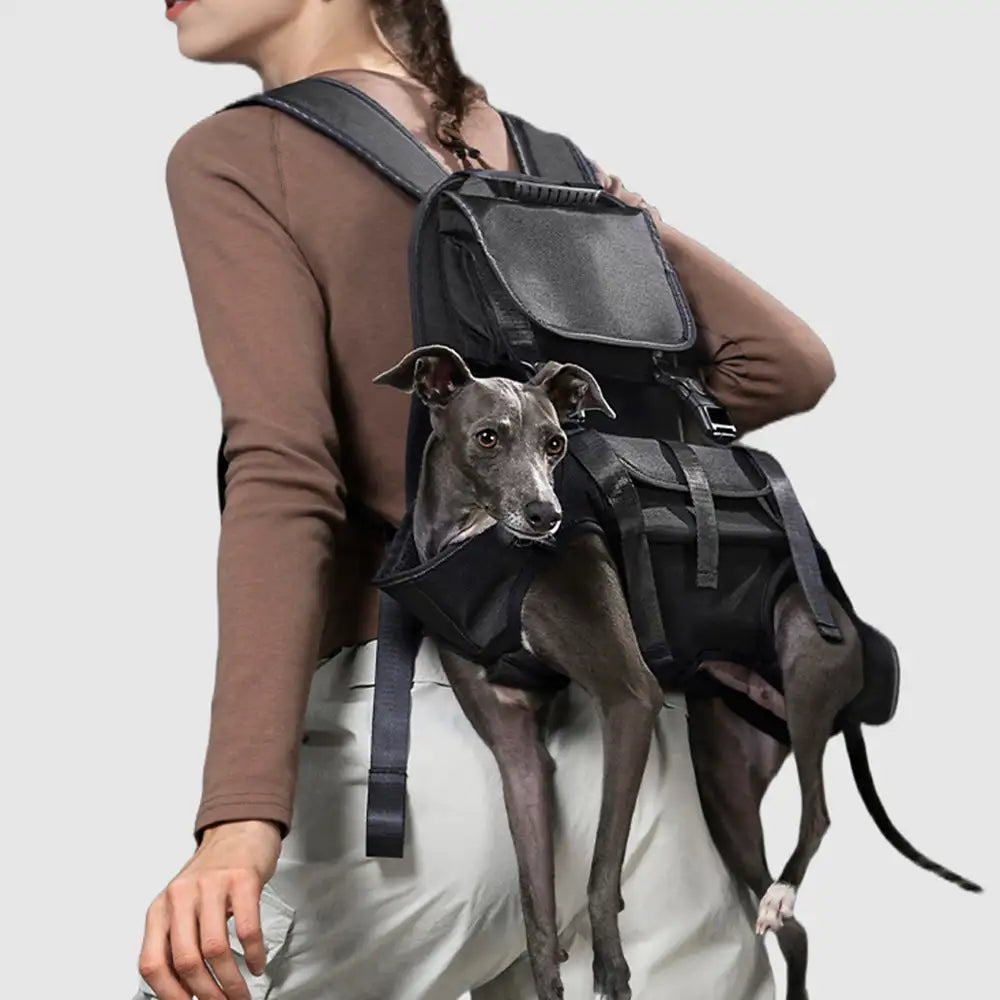 Tragbares ergonomisches, komfortables Hebegeschirr für Hunde tragetasche für den Outdoorsport.
