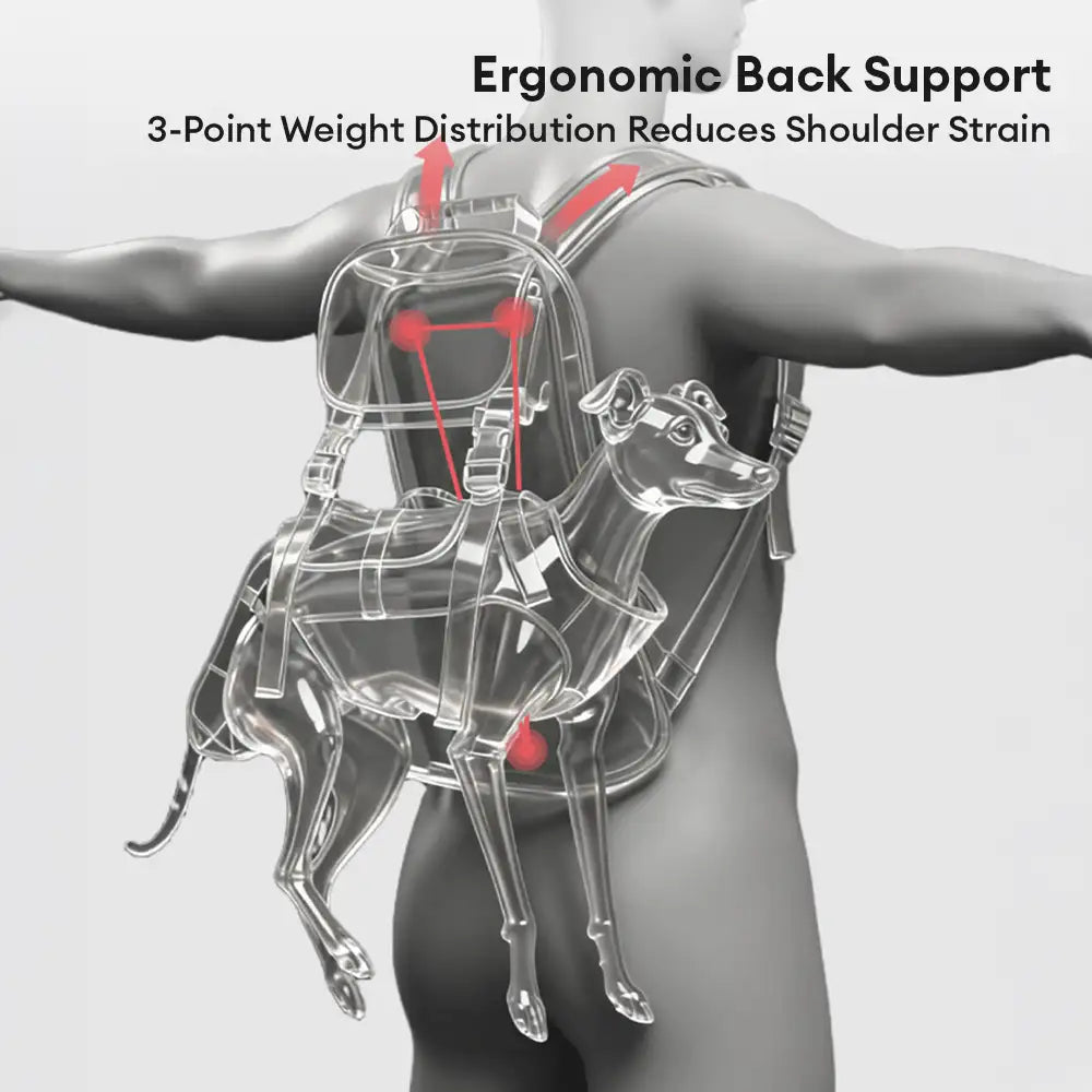 Tragbares ergonomisches, komfortables Hebegeschirr für Hunde tragetasche für den Outdoorsport.