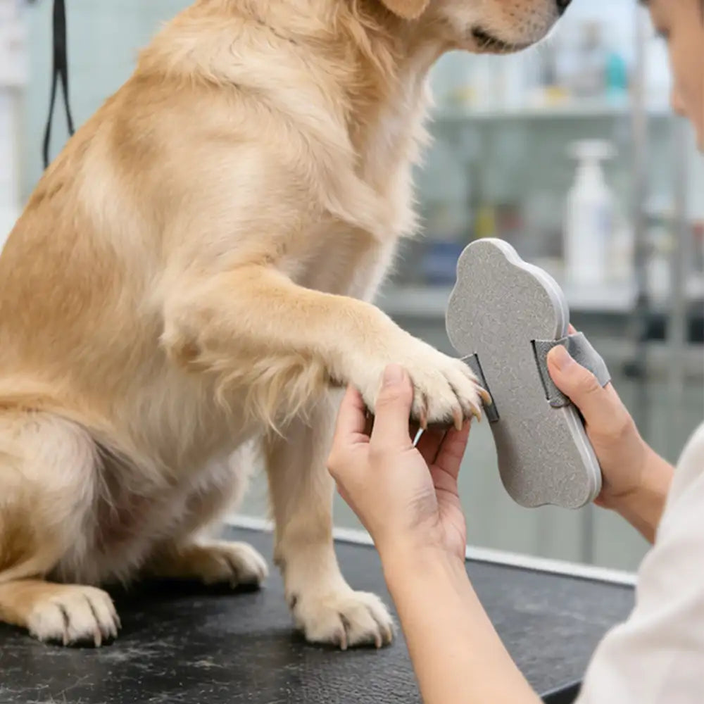 Tragbare Hundekralle Kratztafel