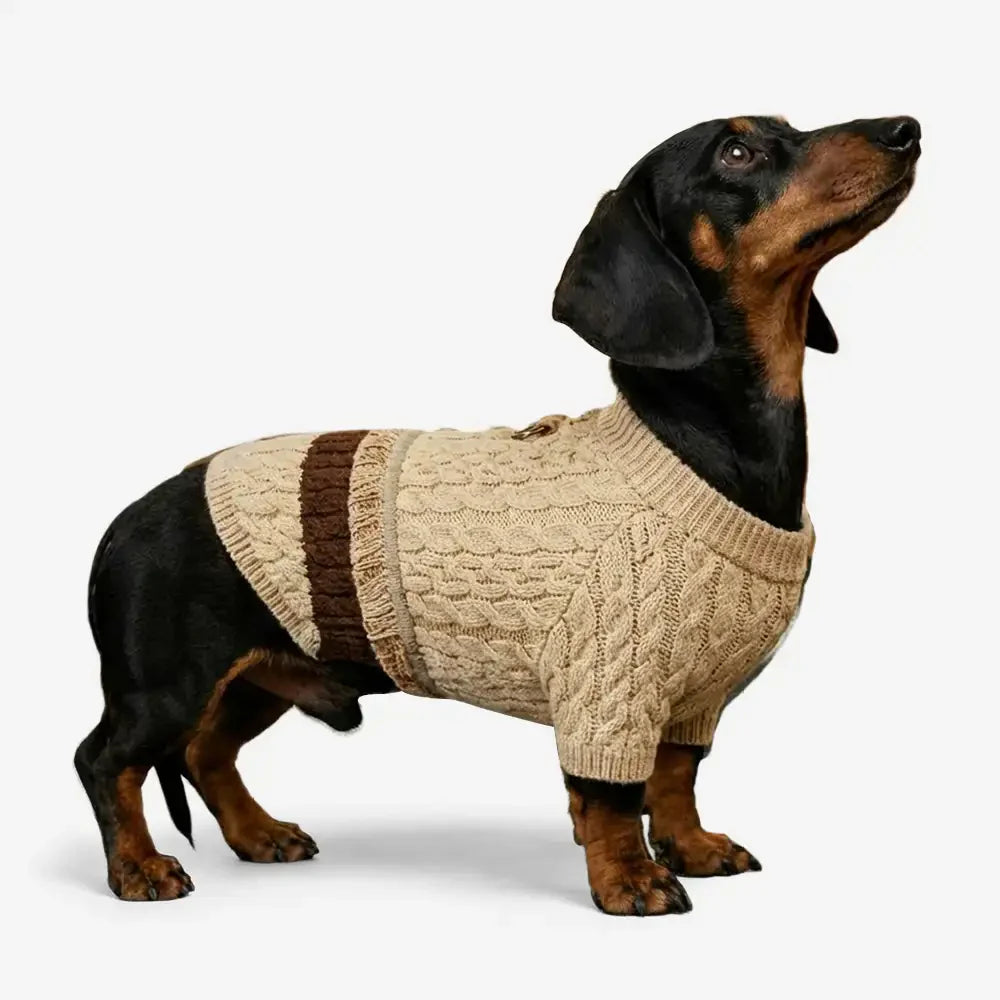 Retro Kabelstrick Dackel und kleiner bis mittelgroßer Hundepullover