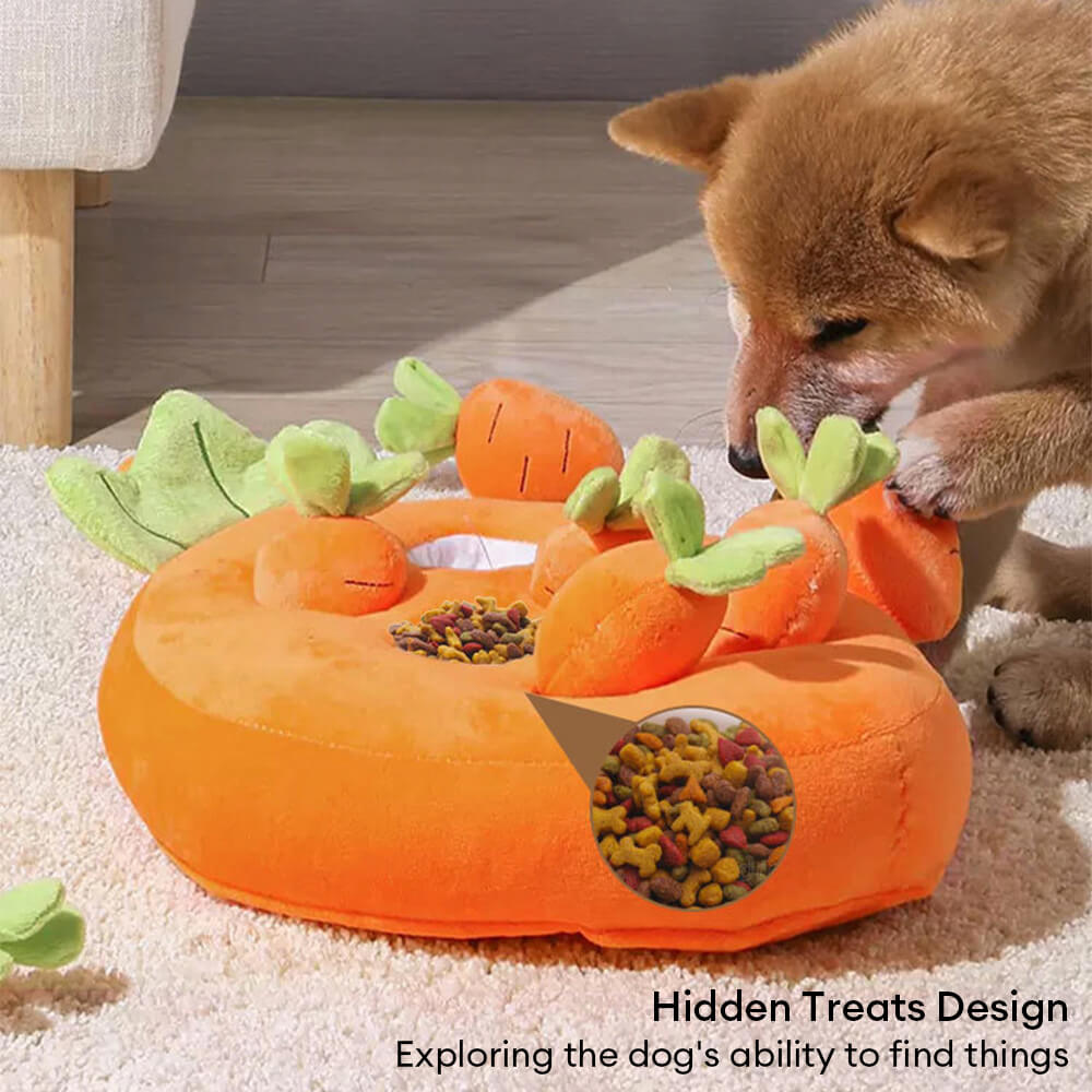 Quitschende Karotten Bereicherung Interaktives Spielzeug Hund Schnüffelspielzeug
