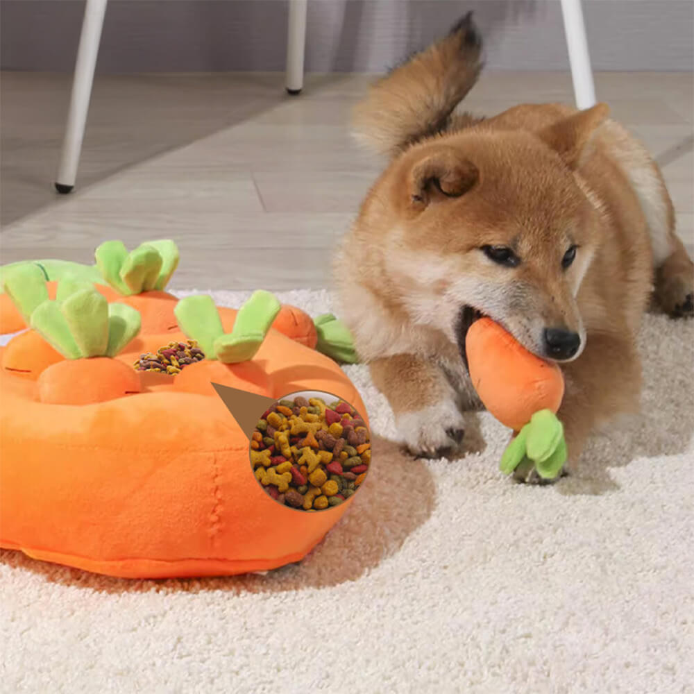 Quitschende Karotten Bereicherung Interaktives Spielzeug Hund Schnüffelspielzeug