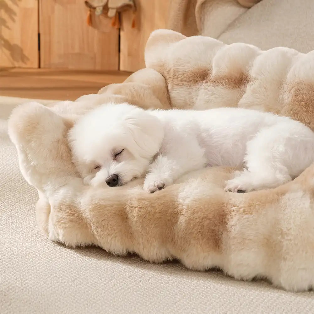 Tie-Dye-Farbiger, flauschiger, bequemer Sofa-Bett für Hunde und Katzen