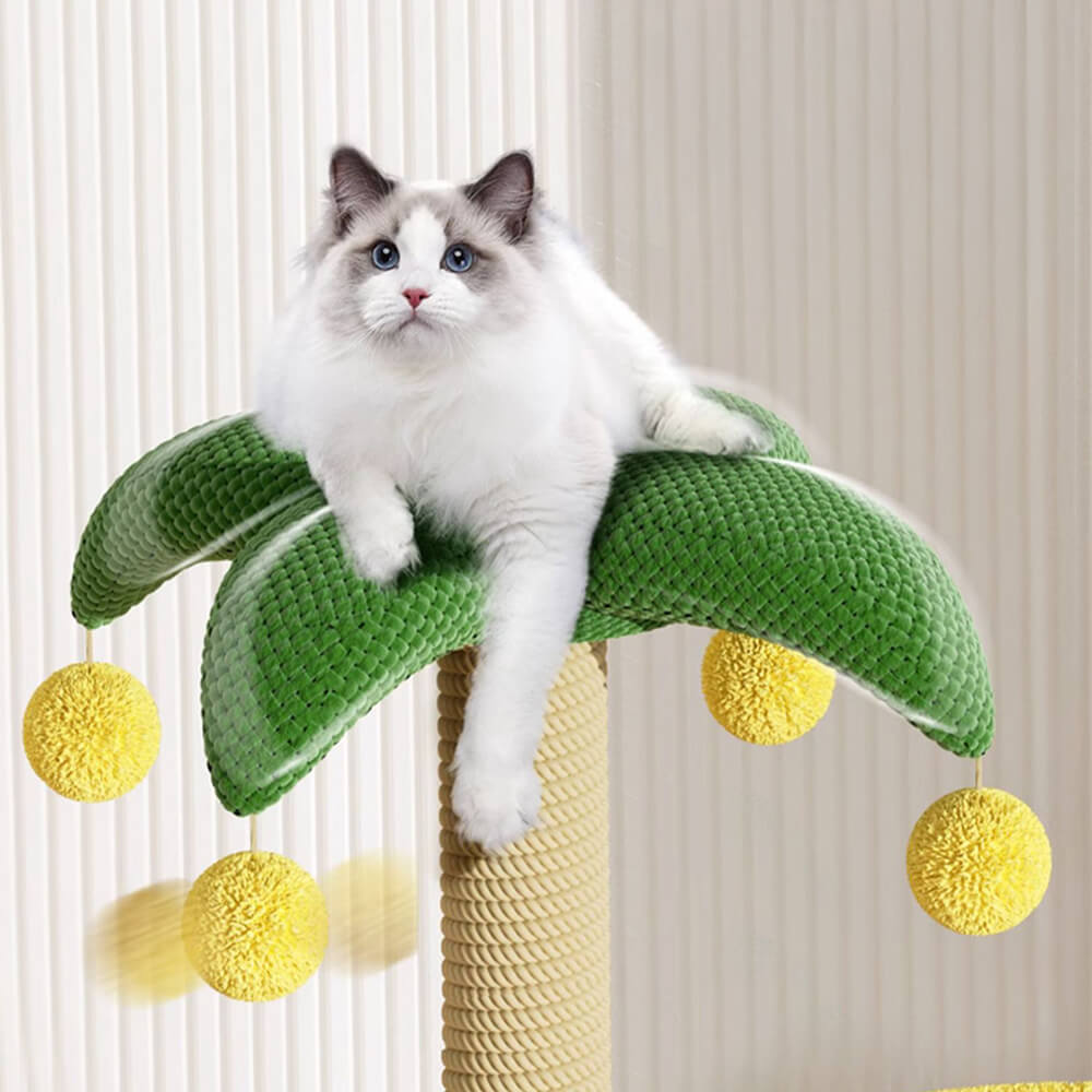 Tropischer Kokosnussbaum-Katzenkletterrahmen