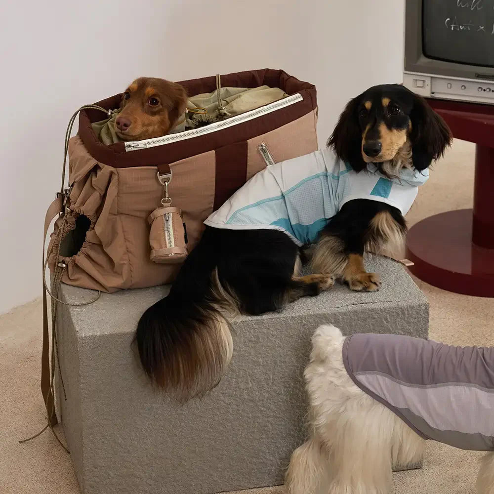 Vintage Breezy Outdoor wasserdichte große Tragepetschörbags