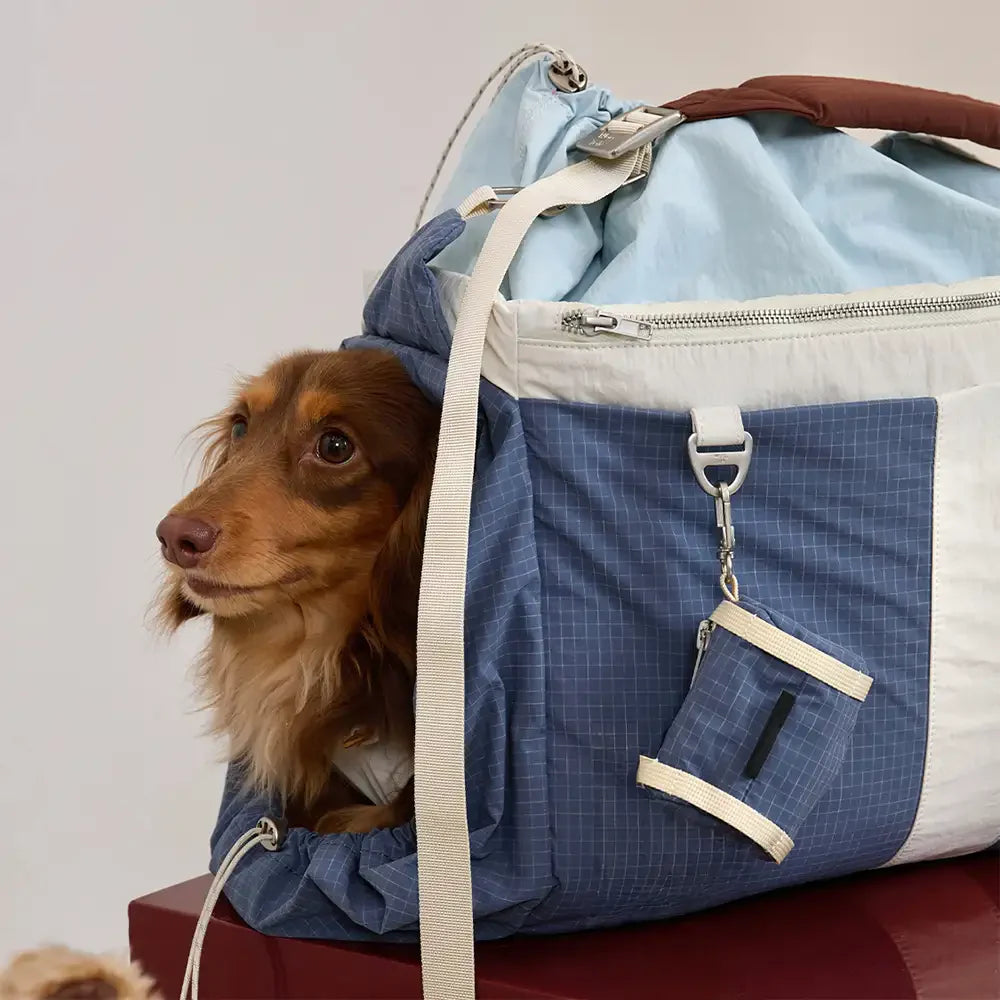 Vintage Breezy Outdoor wasserdichte große Tragepetschörbags