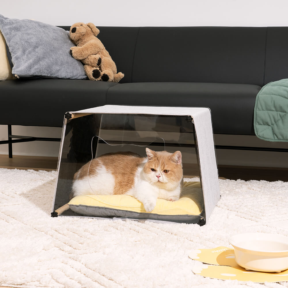 Einfaches Katzenhaus aus Acryl für den Innenbereich mit Massivholzstruktur