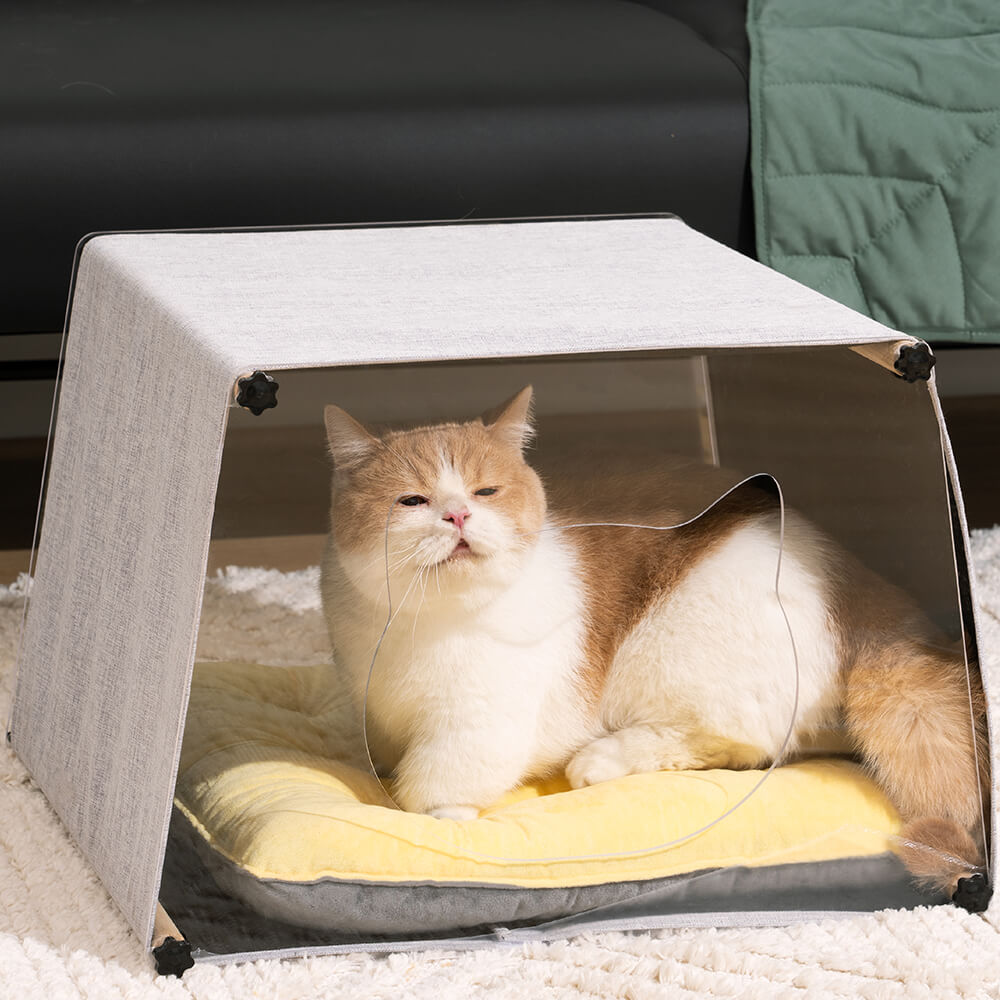 Einfaches Katzenhaus aus Acryl für den Innenbereich mit Massivholzstruktur